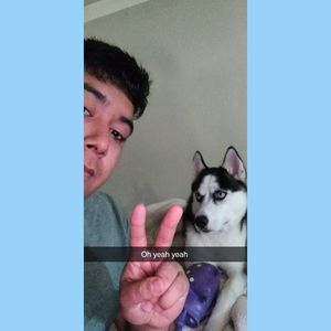 Meet your Posher, Alejandro